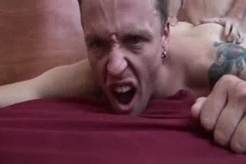 matureer boy ,Thrasher Breeds plowtard