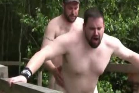Bears fuck Outside