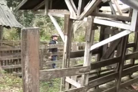 Latino Barebacking Barn slam