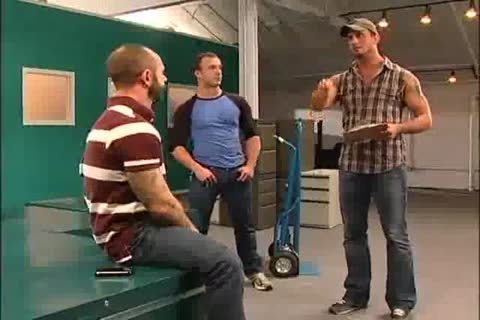 Three Muscled,males plow