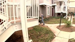 DrillMyHole - Hairy Beat and american Dereck Fox