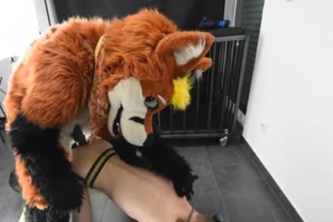 Puppy receives banged By Fursuit With  fake penis
