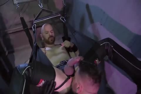 DW - amoral Playrooms UK Edition