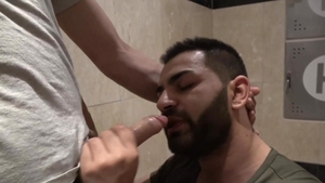 Arab
