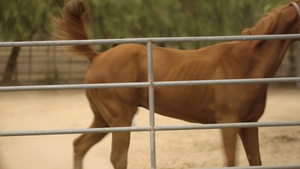 Icon Male: Tongues Deep Inside those Man Holes