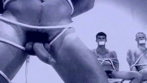 Hot House: Into the Frothing Fantasy, New Levels Unlocked