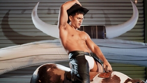 Men: Damian Longs for the Saddle