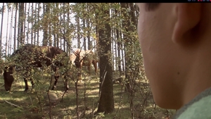 Stepping Out of the Closet - An Unforgettable Love Affair