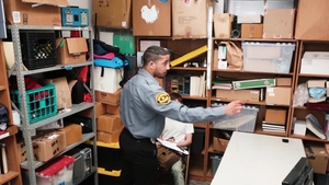 Young Perps: Back Room Interrogation for Suspected Thief