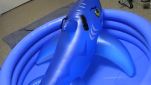 Dick Dorm: Desperate Dudes Take It All For Dough